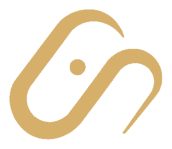 Savvy Outreach Group